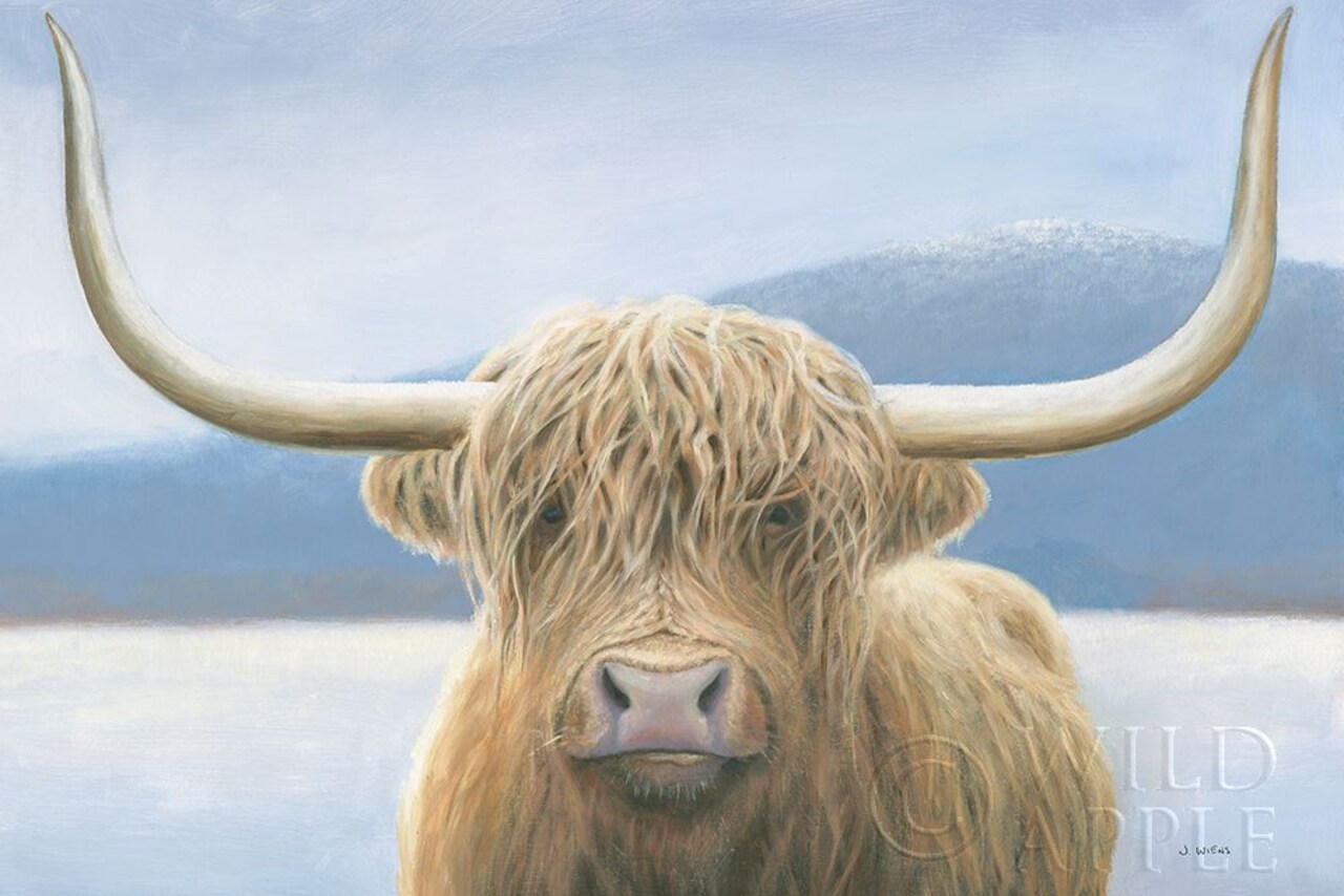 Highland Cow Poster Print by James Wiens - Item # VARPDX50229